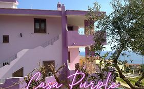 Casa Purple